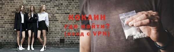 хмурый Новозыбков