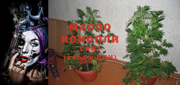 хмурый Новозыбков