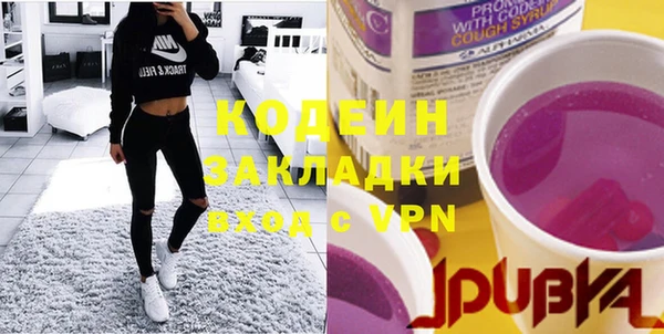 хмурый Новозыбков