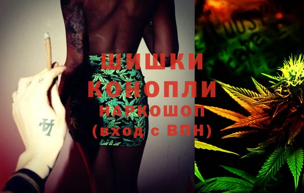 хмурый Новозыбков