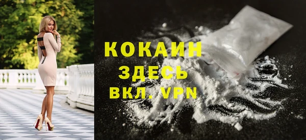 хмурый Новозыбков