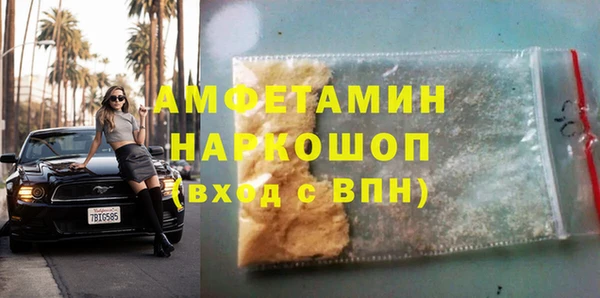 хмурый Новозыбков