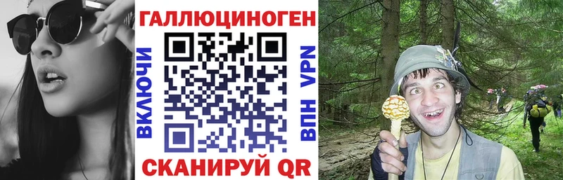Псилоцибиновые грибы Psilocybine cubensis Кремёнки
